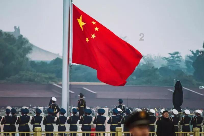 诱捕小浣熊